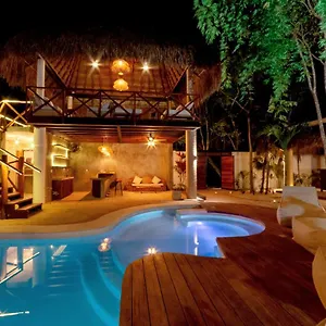 Mimosa , Tulum Mexique